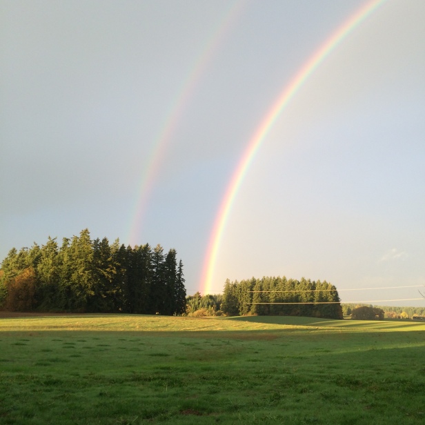 A double rainbow!